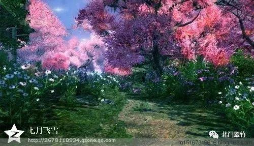 燃烧吧大脑免广告最新版