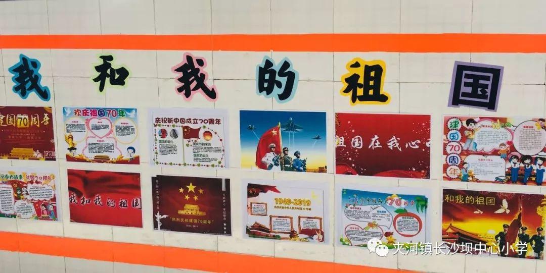 深度剖析我家羊咳嗽,有的流鼻涕死了几只,咋治,解读红迪网平台